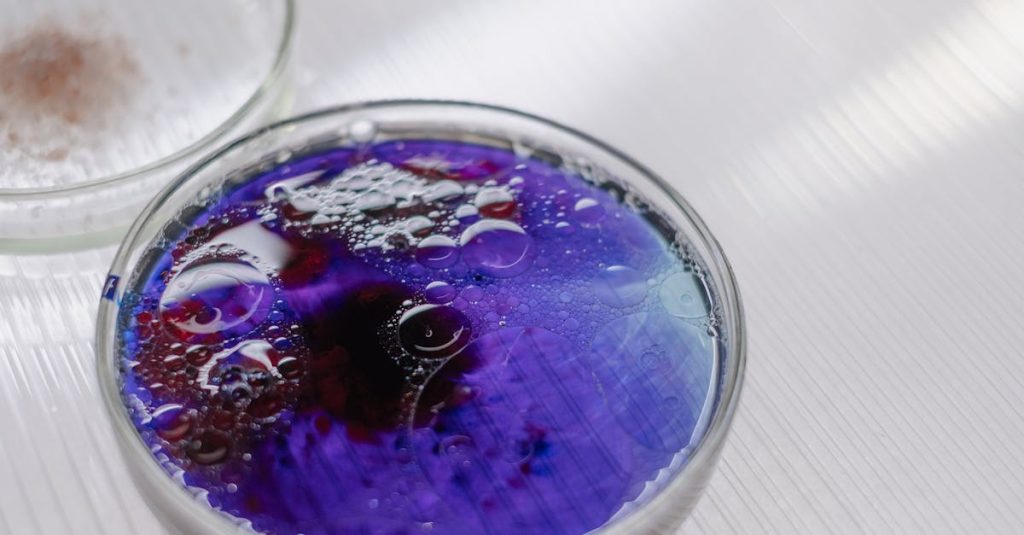Purple liquid with bubbles in a petri dish, showcasing a scientific experiment.